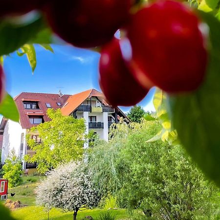 Gasthaus Hirschenstube & Gaestehaus Gehri Waldkirch Luaran gambar